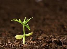 土壤監(jiān)測，土壤污染程度，深圳檢測機構