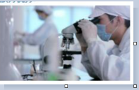 REACH法規(guī)年底或增至205項SVHC