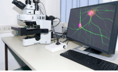 物理化學(xué)性能檢測
