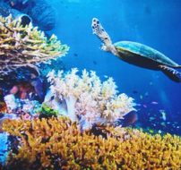 海洋生態(tài)檢測服務(wù)、環(huán)保檢測、各項(xiàng)微生物有害物質(zhì)指標(biāo)檢測